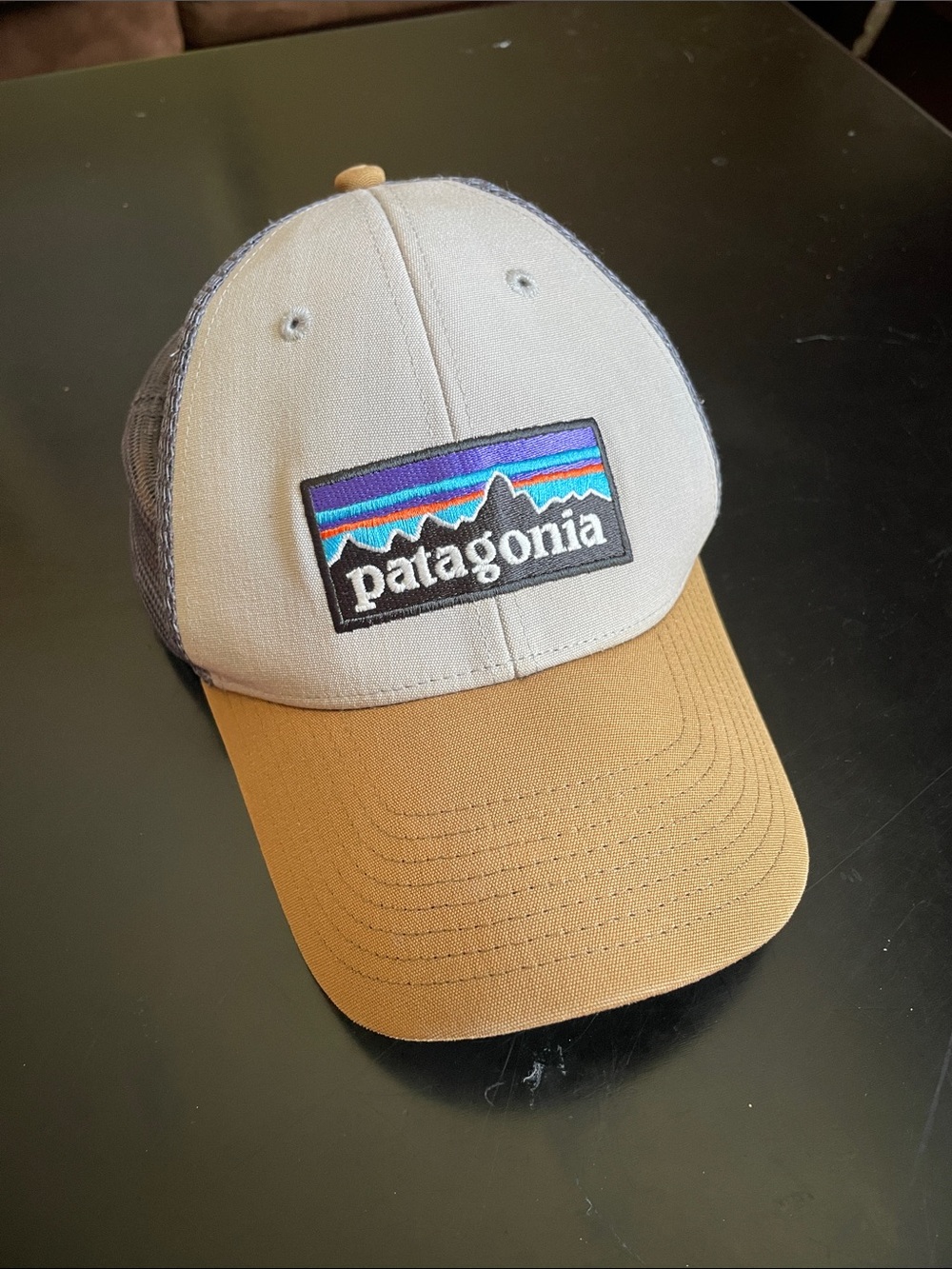 Patagonia Trucker Hat